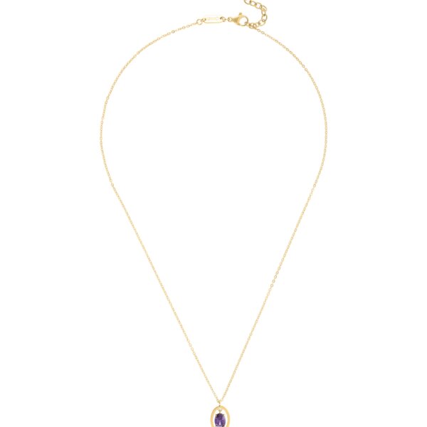 Colar One Birthstone Fevereiro - Sabedoria