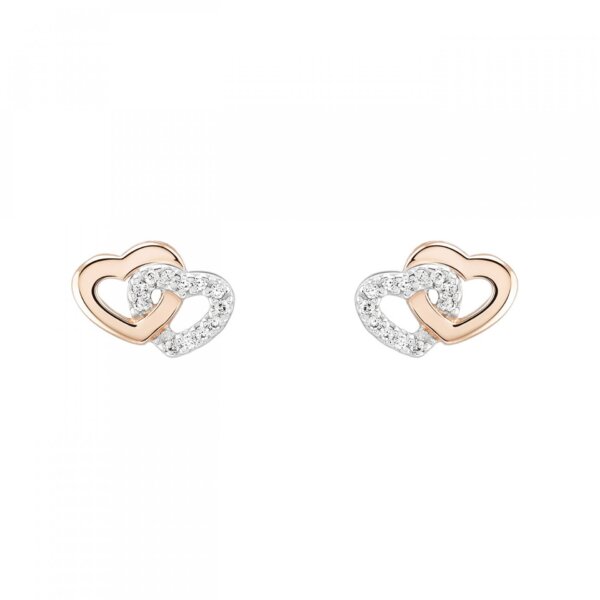 Brincos Unike Love In Rose 2 Hearts